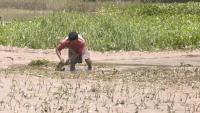 rubel-news-pic1.jpg