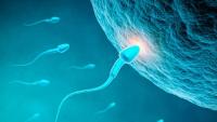 these-5-daily-habits-reduce-mens-sperm-count.jpg