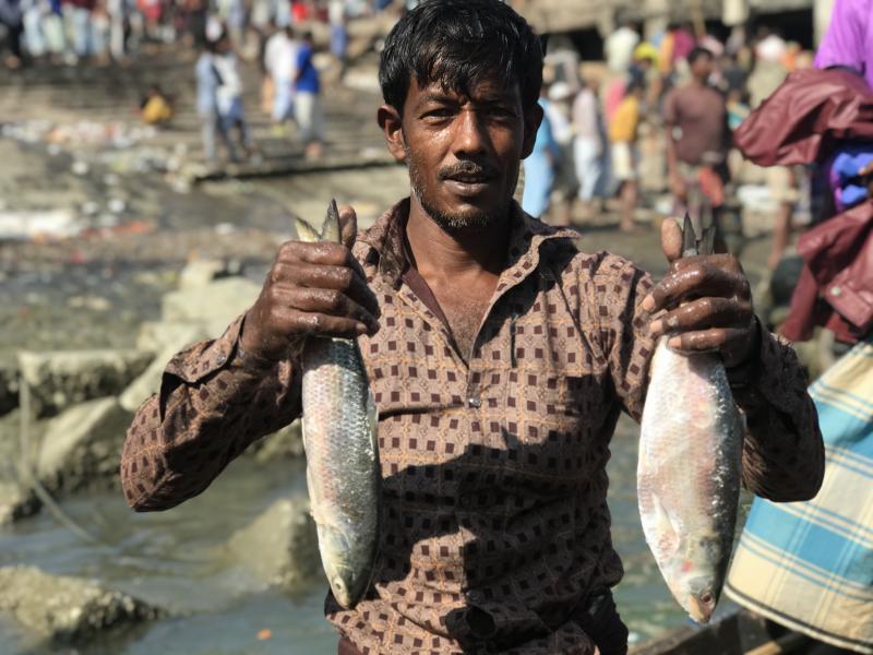 ঝাঁকে ঝাঁকে ইলিশ আর বড় বড় সামুদ্রিক মাছ সুরমা, রিটা ও টুনা। সাগরে জাল ফেলতেই ধরা পড়ছে এসব সামুদ্রিক মাছ। যা বিক্রির জন্য কক্সবাজার মৎস্য অবতরণ কেন্দ্রের জেটি ঘাটে ফিরছে জেলেরা।