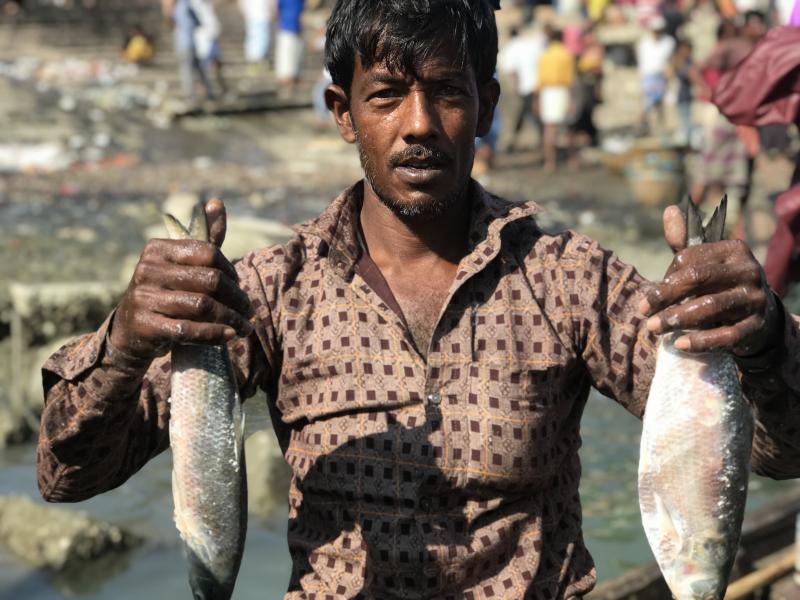 যখন ট্রলার থেকে দু’হাতে বিক্রির জন্য ঝুঁড়িতে রাখছে ইলিশ; তখন আনন্দে ঝলমল করছে কক্সবাজার উপকূলের জেলে আব্দুল হাই’র দু’চোখ। এই দৃশ্যের দেখা মিলে মৎস্য অবতরণ কেন্দ্রের জেটিঘাটে।