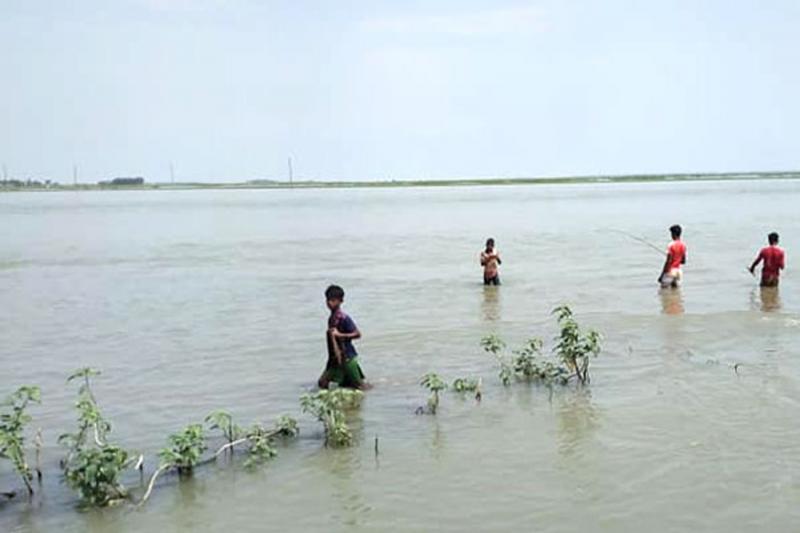 কিশোররা নদীতে দাঁড়িয়ে মাছ ধরছে। ছবি লোকেশন: সুতারপাড়া, করিমগঞ্জ, কিশোরগঞ্জ