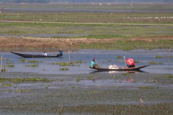 বাংলাদেশের হাওরে মাছ ধরার একটি দৃশ্য