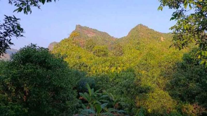টেকনাফের পাহাড়ে অপহরণের নেপথ্যে তিন কারণ