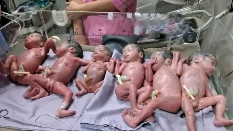 একসাথে ছয় সন্তানের  জন্ম দিলেন ঈদগাঁওর মরিয়ম 
