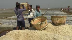 লবণ উৎপাদনে ৬৪ বছরে ২য় সর্বোচ্চ রেকর্ড