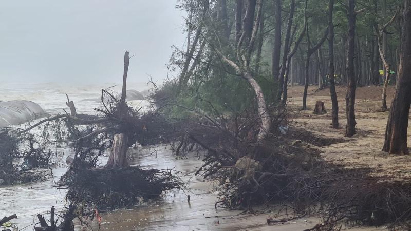 সাগর উত্তাল: ঢেউ আঘাত হানছে ঝাউবাগানে