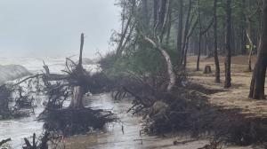 সাগর উত্তাল: ঢেউ আঘাত হানছে ঝাউবাগানে