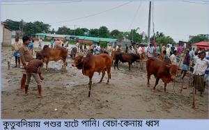 কুতুব‌দিয়ায় পশুর হা‌টে পা‌নি, বিপা‌কে খামা‌রিরা