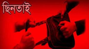 নাইক্ষ্যংছড়িতে ১৮টি গরু ছিনিয়ে নেয়ার ঘটনায় গোলাগুলিতে বিজিবি সদস্যসহ ৪ জন আহত