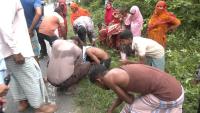 accident-took-the-55.jpg
