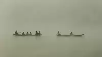 season-change-in-captai-lake.webp